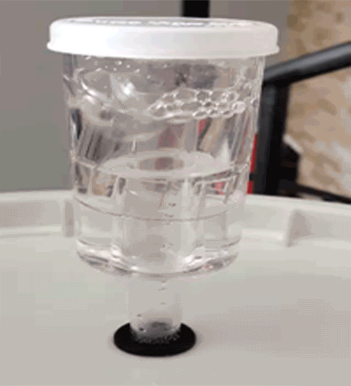 GIF of a homebrew airlock bubbling away.