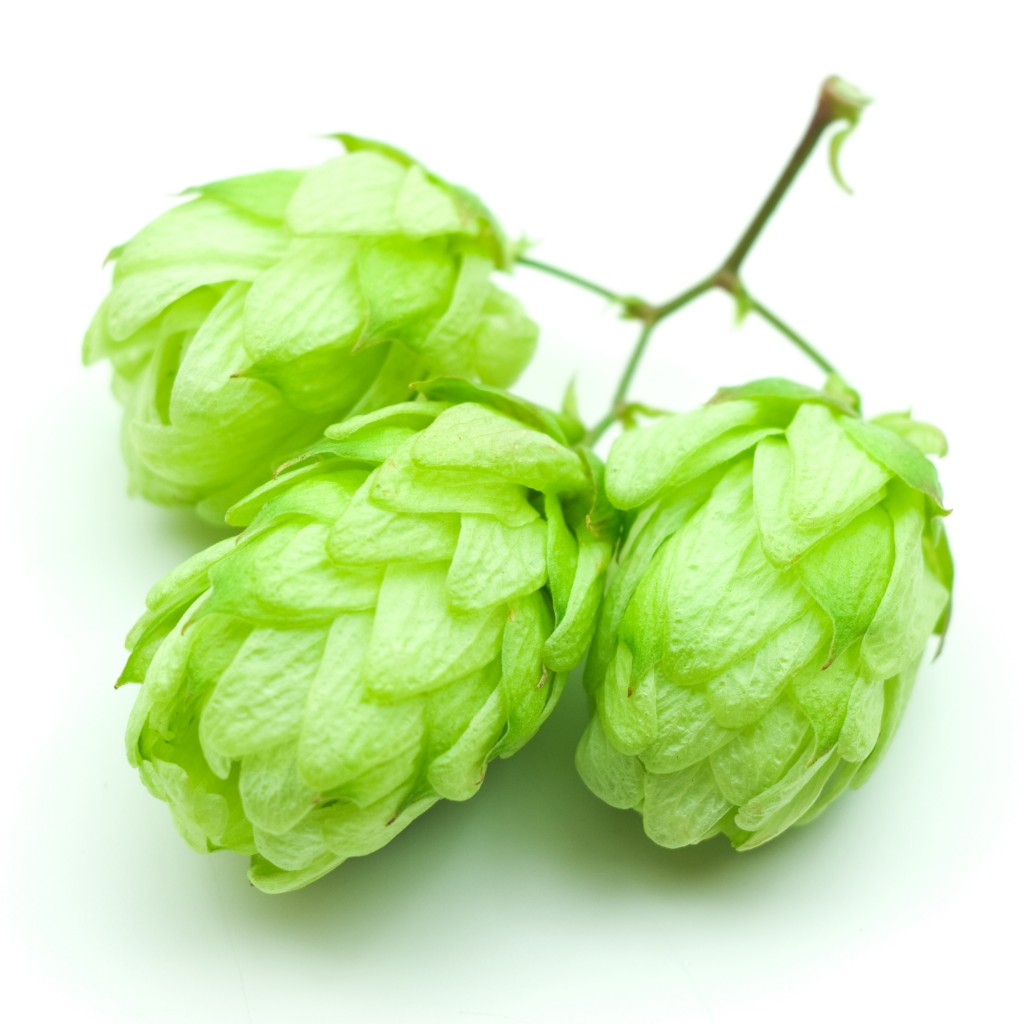 2014 Hop Harvest Database Scott Janish