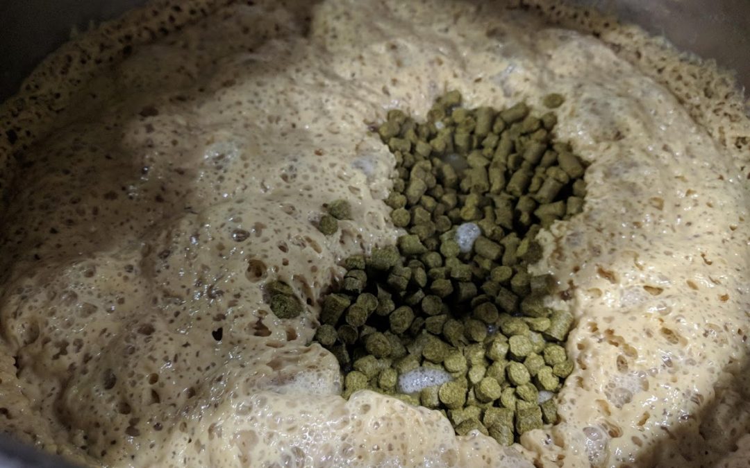 A Case for Short And Cool Dry Hopping